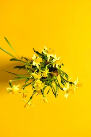 ปกนิยาย เมื่อผมต้องมาจีบสามีตัวเอง