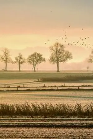 ปกนิยาย ผิดหรือที่สติไม่ดี