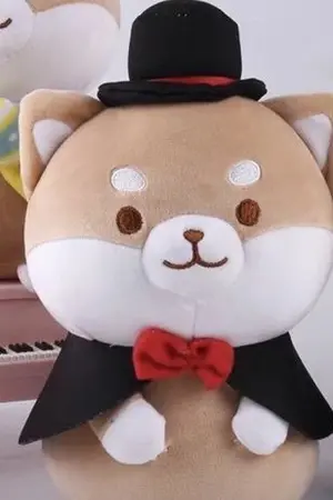 ปกนิยาย อาบรูบรู่