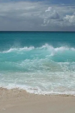 ปกนิยาย [Attack​ on titan]​ What under the sea (hanji x oc)