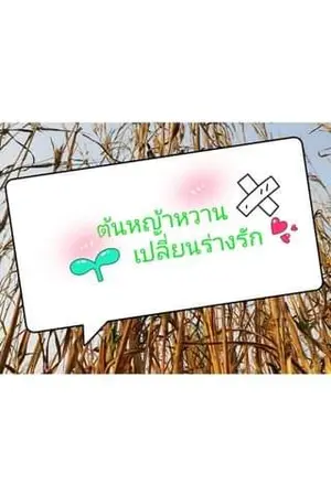 ปกนิยาย ต้นหญ้าหวาน  เปลี่ยนร่างรัก