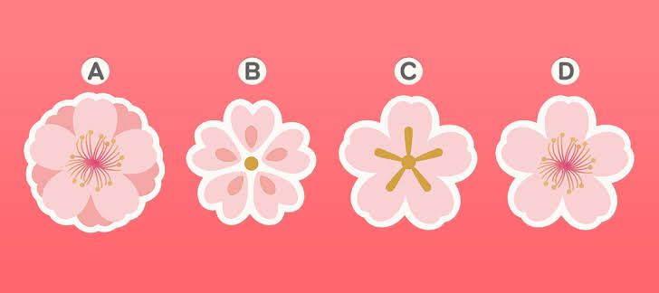 Choose flower