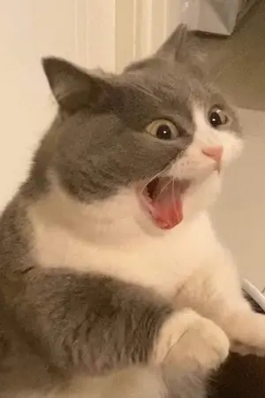 ปกนิยาย How to เอาชีวิตรอดในโลกยุคหิน