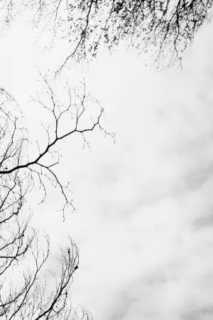 ปกนิยาย เอาชีวิตรอดในวันโลกระทึก(จบแล้ว)