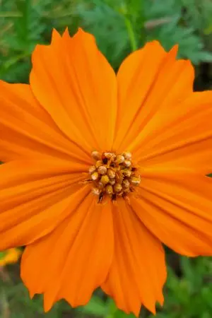 ปกนิยาย ยุคใหม่(จบแล้ว)