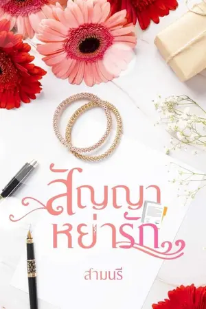 ปกนิยาย สัญญาหย่ารัก