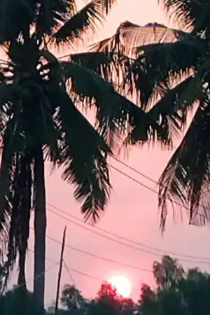 ปกนิยาย ทะลุมิติไปยังโลกอนาคต