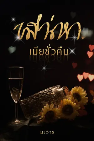 ปกนิยาย เสน่หาเมียชั่วคืน (จบแล้ว : ติดเหรียญ)