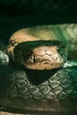 ปกนิยาย 🌧️FIC HARRY POTTER TR(VM)/LM🌨️