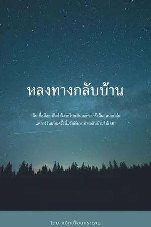 ปกนิยาย หลงทางกลับบ้าน