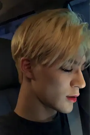 ปกนิยาย เพียงฟ้ามีอาทิตย์