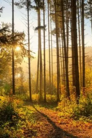 ปกนิยาย เทพเซียนเกิดใหม่รอบที่สาม กลายเป็นทาสให้คุณภรรยาสาวไปซะแล้ว