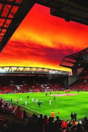 ปกนิยาย มิดฟิลด์ดาวทอง