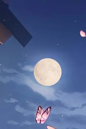 ปกนิยาย genshin impact x reader [os/sf/hc]