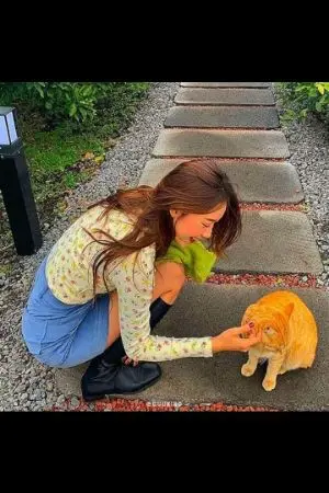 ปกนิยาย พรหมลิขิต​ที่สร้างขึ้นเอง