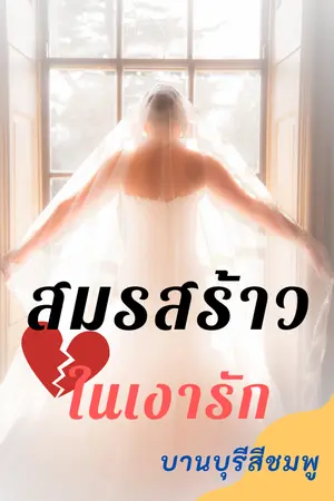 ปกนิยาย