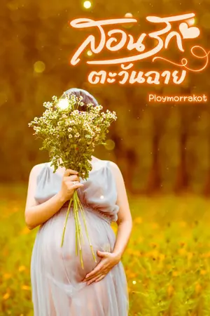 ปกนิยาย สอนรักตะวันฉาย