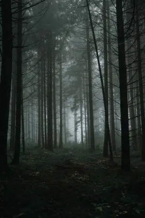 ปกนิยาย จน จนถึงผี