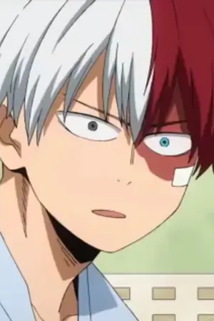ปกนิยาย [ Law x Shoto x Zoro ] [ AU/Crossover ] Half-cold Half-hot Pirate! ❄️🔥(One-piece & My hero academia) [ยังไม่ว่างแต่ง]
