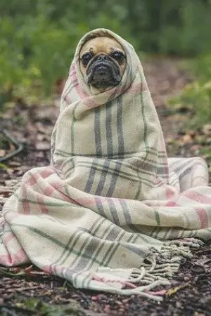 ปกนิยาย ตัวเล็กอ่ะ น่ารักออกเนอะ