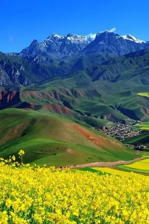 ปกนิยาย ชีวิตแบบนี้สีที่โหยหา