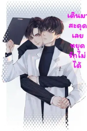 ปกนิยาย เดินมาสะดุดเลยหยุดรักไม่ได้