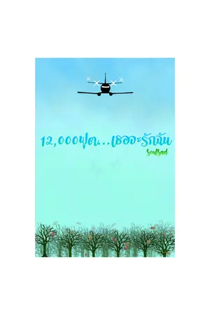 ปกนิยาย