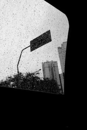 ปกนิยาย Fic Detective Conan X Oc a drop of whiskey