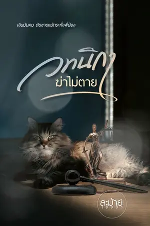 ปกนิยาย