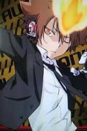 ปกนิยาย เกิดใหม่ในโลกรีบอร์น(ปกชั่วคราว)