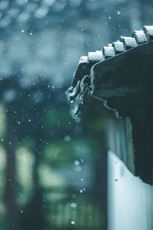 ปกนิยาย ฝนแห่งความทรงจำ