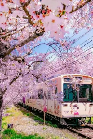 ปกนิยาย Love Engineering กลรักพ่อหนุ่มวิศวะ