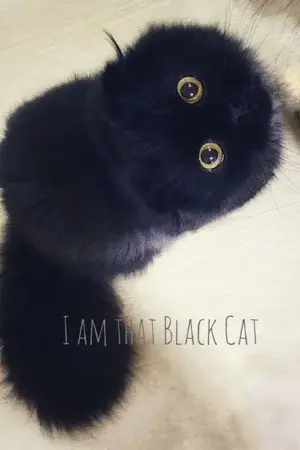 ปกนิยาย ฉันคือเจ้าแมวดำตัวนั้น (I am That Black Cat)