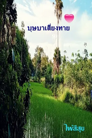 ปกนิยาย บุษบาเสี่ยงทาย