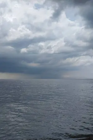 ปกนิยาย บทกวีที่ไร้ที่มาและความคิด