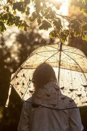 ปกนิยาย สาวไส้