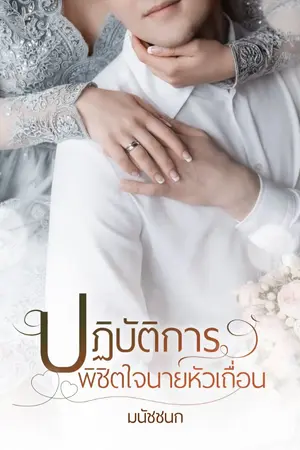 ปกนิยาย ปฏิบัติการพิชิตใจนายหัวเถื่อน