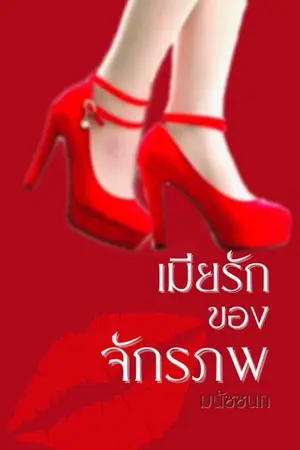 ปกนิยาย