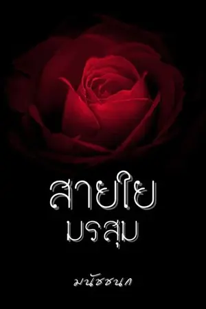 ปกนิยาย