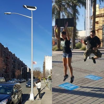 Photo Credit: New Atlas / Inhabitat