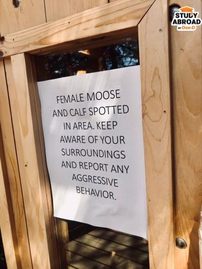 ป้ายเตืิอนเวลามีสัตว์มาแถวที่พัก