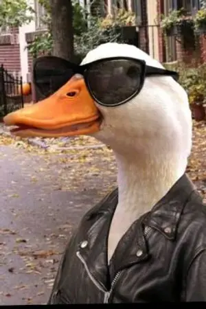 ปกนิยาย การผจญภัยครั้งใหม่ของลูกเป็ด🦆