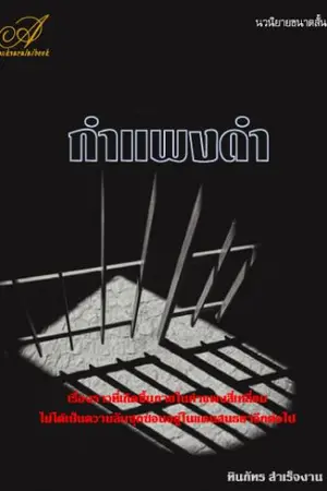 ปกนิยาย กำแพงดำ