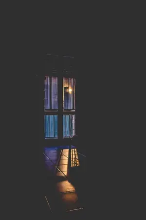 ปกนิยาย Sweet chaos