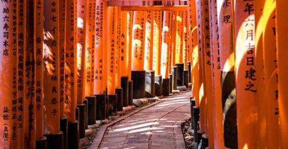 ภาพจาก Unsplash.com