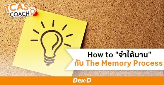 จำได้นาน ด้วยเคล็ด(ไม่)ลับ จาก "The Memory Process" ความรู้การทำงานของความจำ 