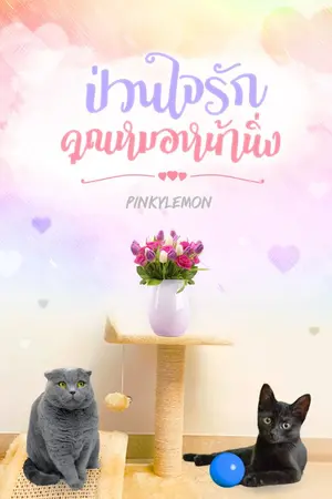ปกนิยาย ป่วนใจรัก