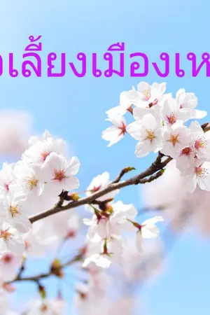 ปกนิยาย