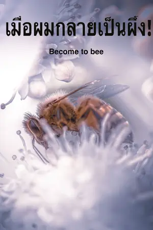 ปกนิยาย เมื่อผมกลายเป็นผึ้ง (Become to bee)