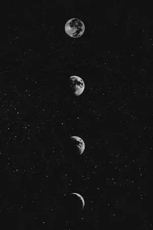 ปกนิยาย [FIC Assassination Classroom] Who Are You